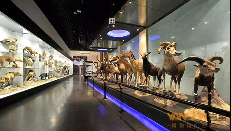 博物館展館設(shè)計(jì)方案:感受色彩對比的方法和變化的規(guī)律插圖(2)