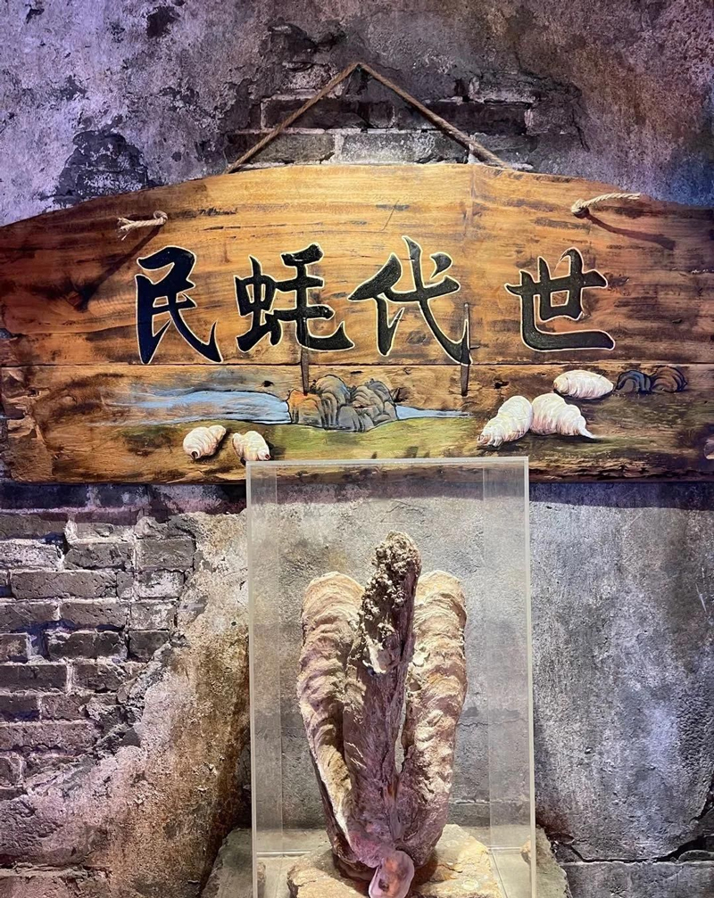 巖星特刊 ｜深圳超級文和友，“城市博物館”的擴張之路插圖(4)