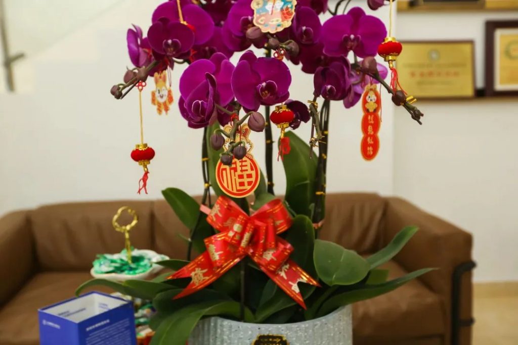 星之聲 | 新開序章，揚(yáng)帆起航！插圖(2)